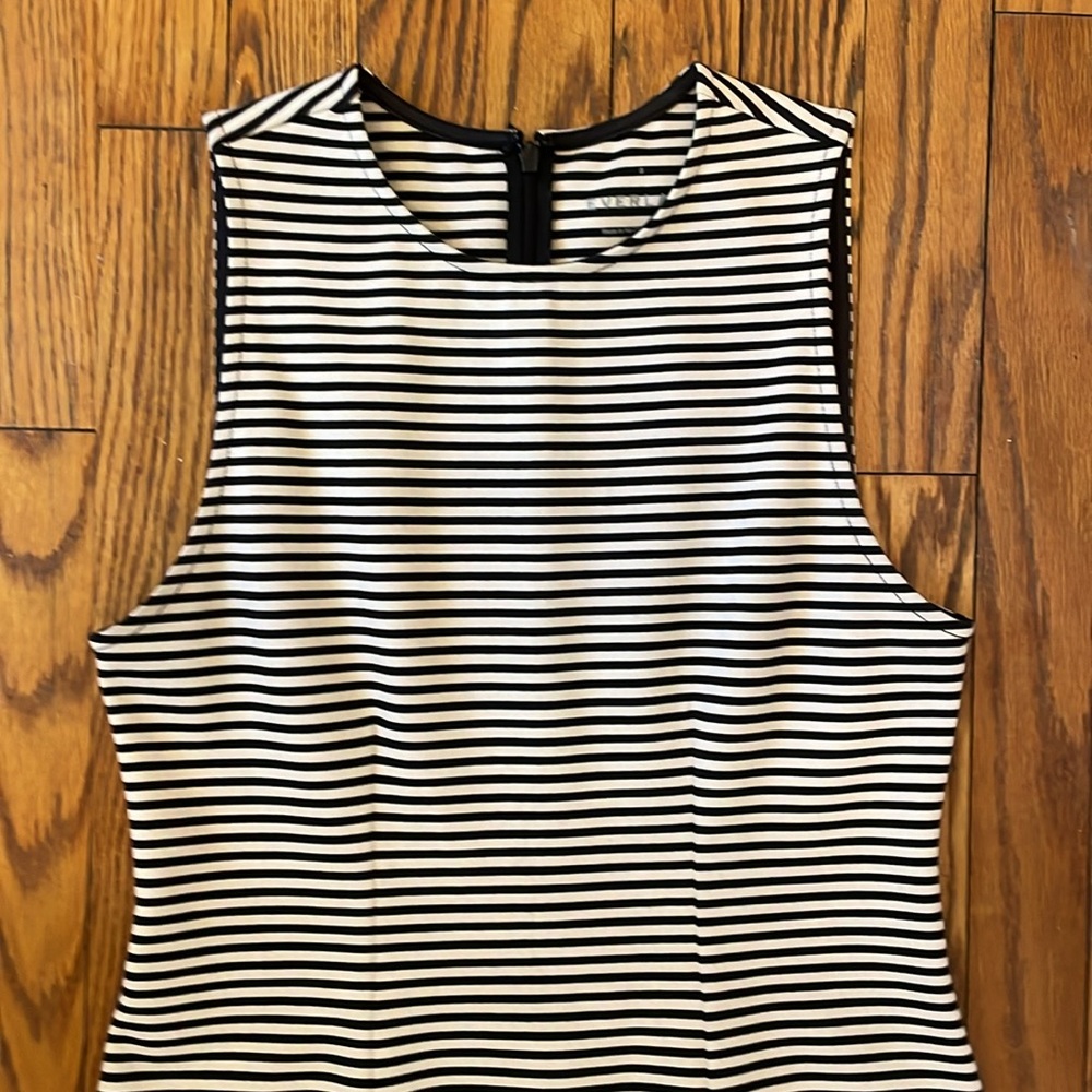 Everlane the Dream 90’s shift dress size small S - Picture 3 of 7